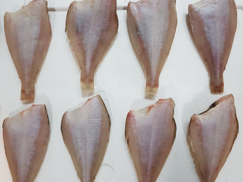 오누이수산