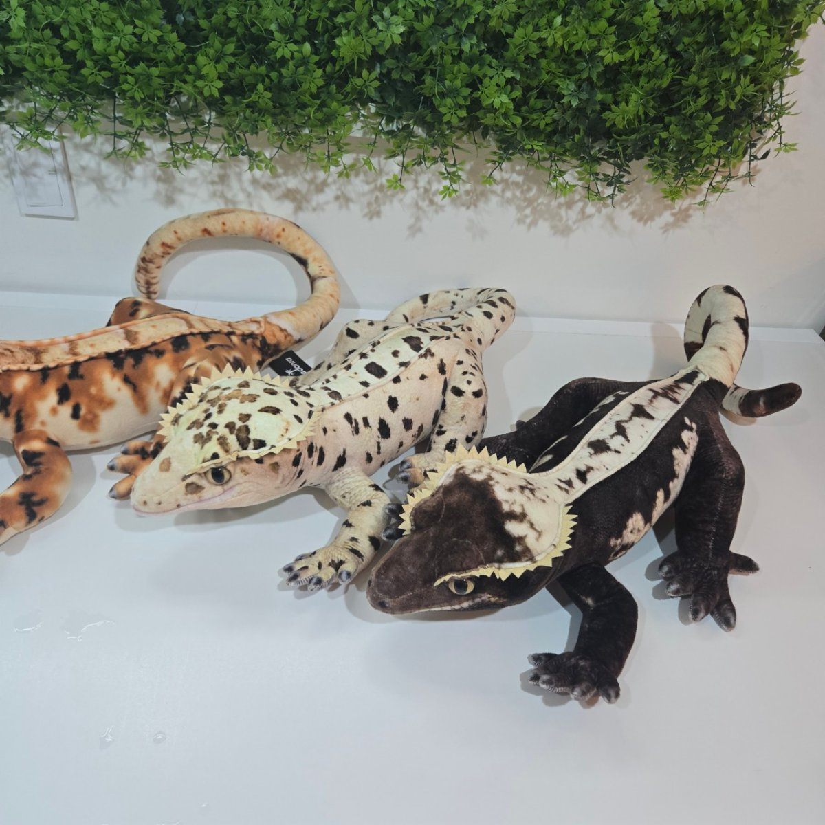 매물 이미지 5