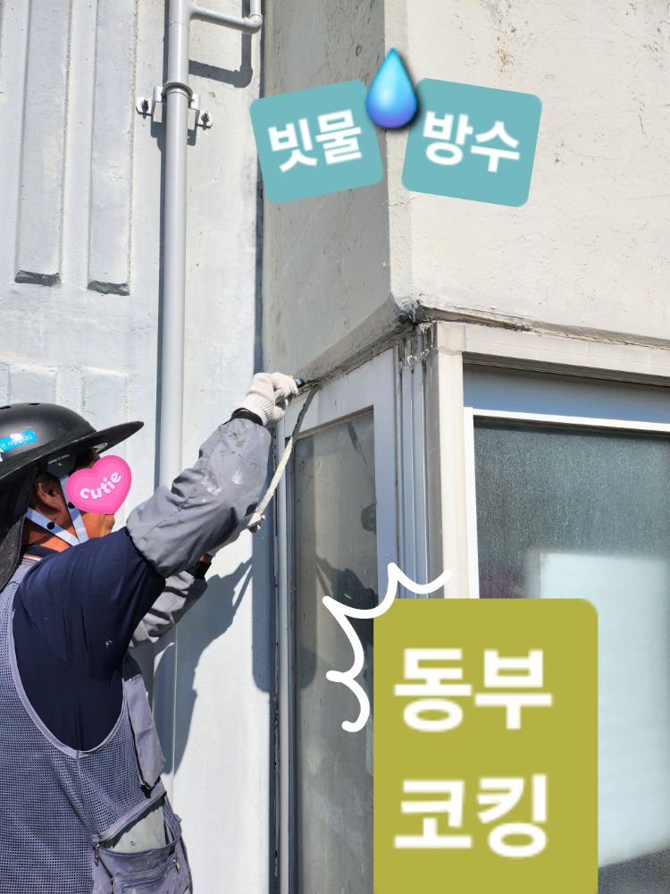 실리콘 &코킹전문업체 (여수.순천.광양) 업체 전남광주통합특별시 여수시 미평동
