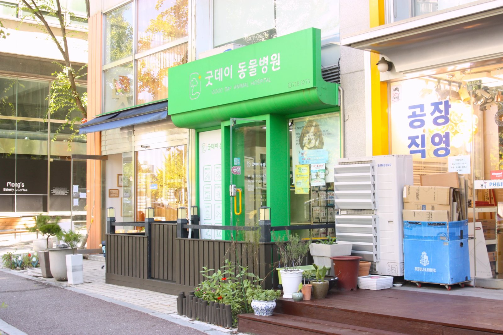 굿데이 동물병원 동물병원 경기도 성남시 분당구 정자동