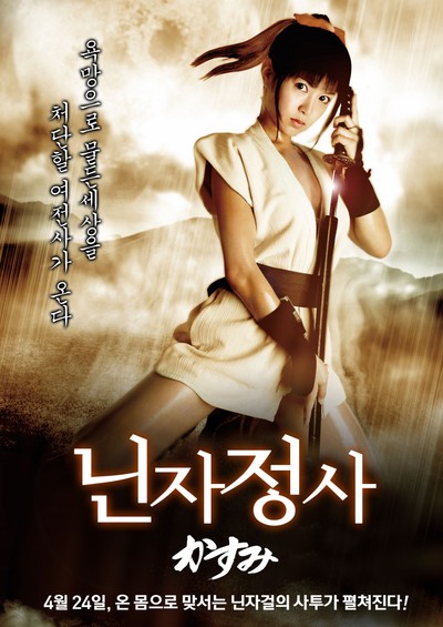 닌자 정사