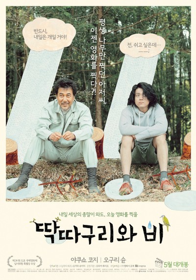 딱따구리와 비 2011 영화 포스터