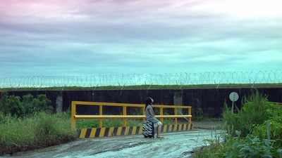 기린과 아프리카 2007 영화 포스터