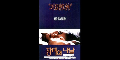 장미의 나날 1994 영화 포스터