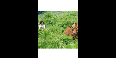69년 7월, 달의 궁전 2006 영화 포스터