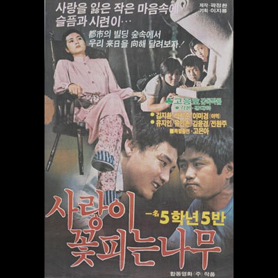 사랑이 꽃피는 나무