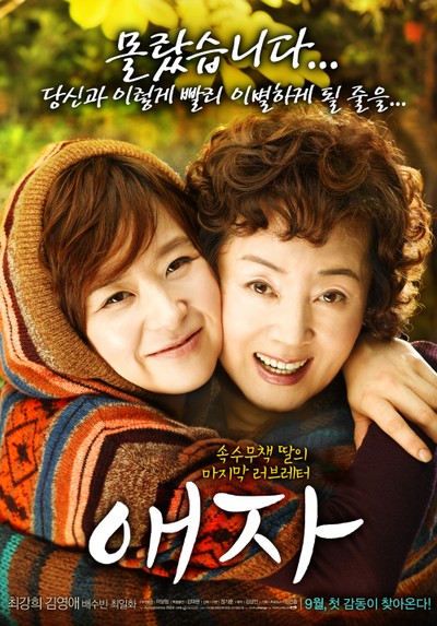 애자 2009 영화 포스터