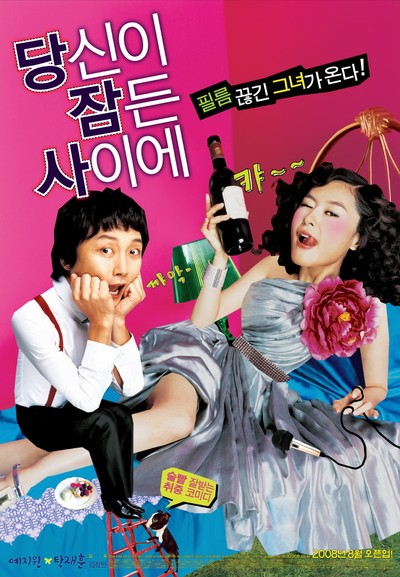 당신이 잠든 사이에 2008 영화 포스터