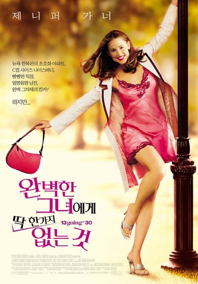 완벽한 그녀에게 딱 한가지 없는 것 2004 영화 포스터