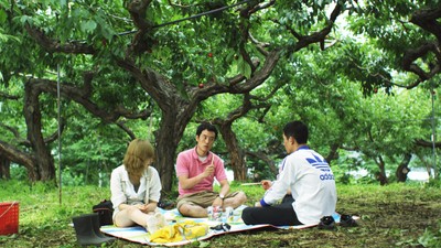 숲