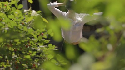 아카이브의 유령들 2014 영화 포스터