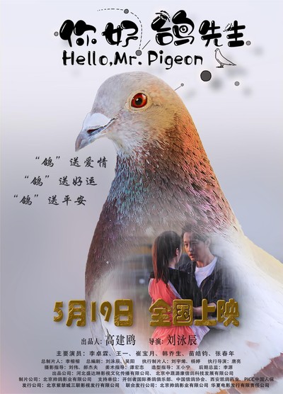 니호, 합선생