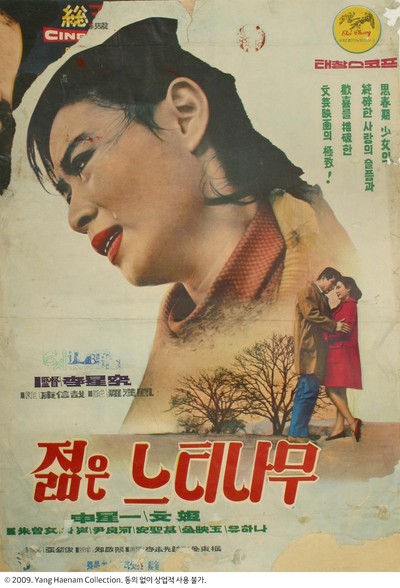 젊은 느티나무 1968 영화 포스터
