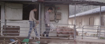 돼지 잡는 날 2016 영화 포스터