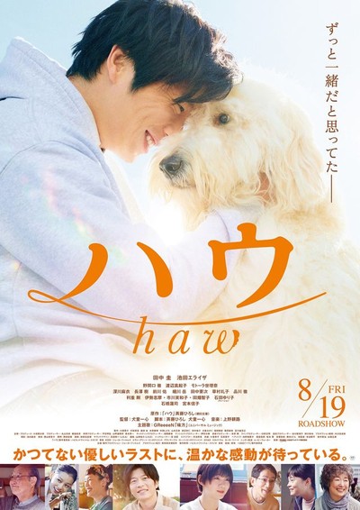 하우