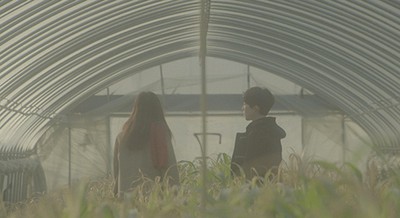 스피노자의 편지