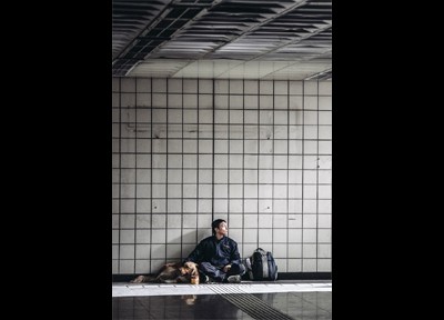 안내견