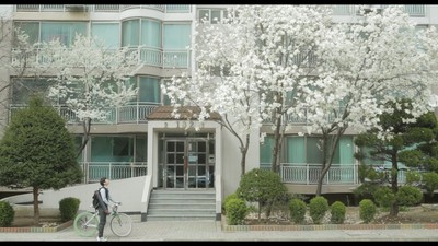 목련에 대하여