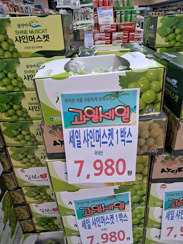 사용자 울랄라님이 댓글에 첨부한 이미지