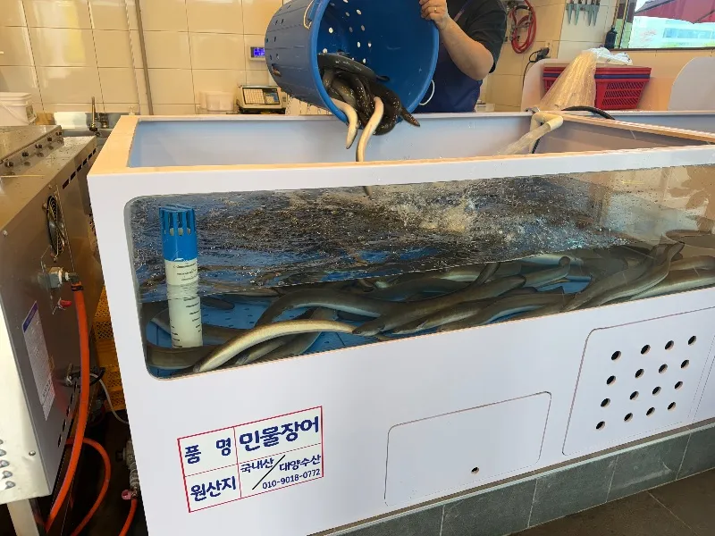 천년풍천장어 맛집 충청남도 천안시 동남구 구룡동