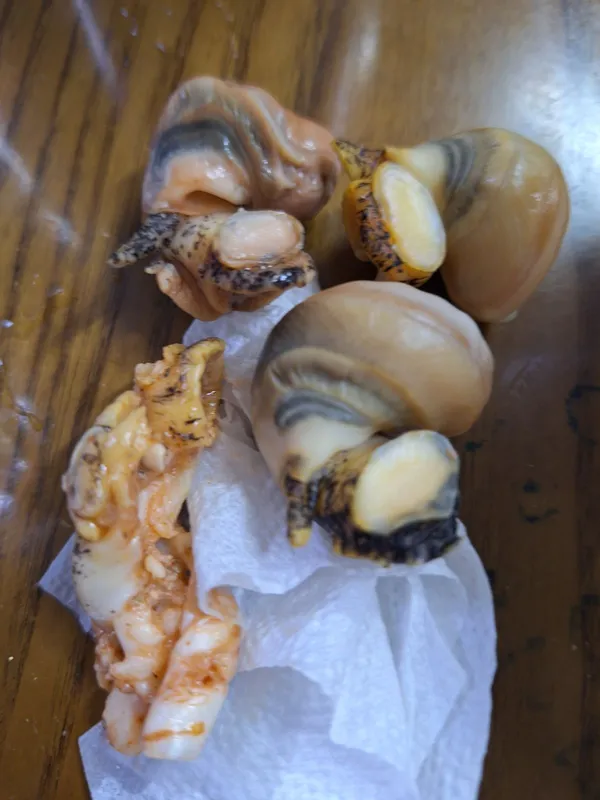 사용자 팔자주름이 깊은 코뿔소님이 댓글에 첨부한 이미지