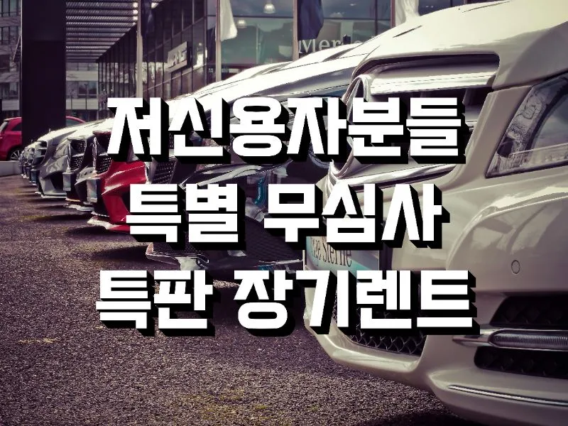 내일내차 업체 부산광역시 동래구 온천동