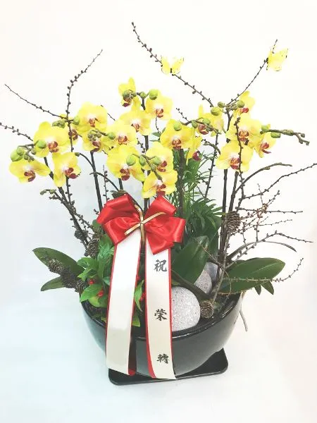 호접
