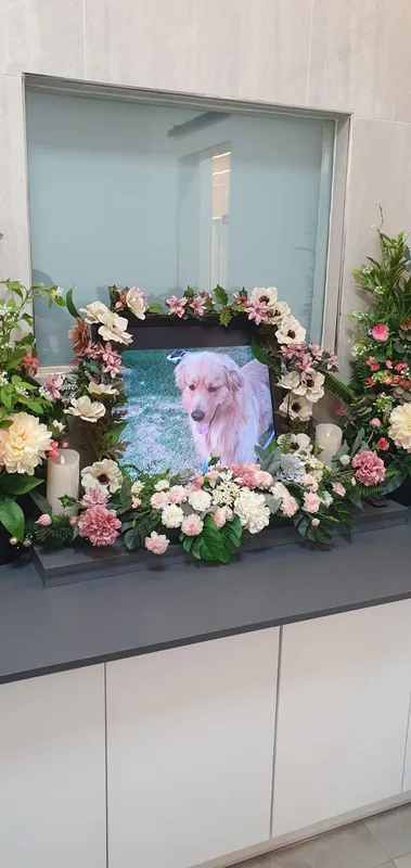 사용자 칙칙한 식인상어님이 댓글에 첨부한 이미지