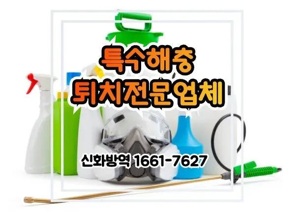 신화방역 청소대행 부산광역시 북구 금곡동