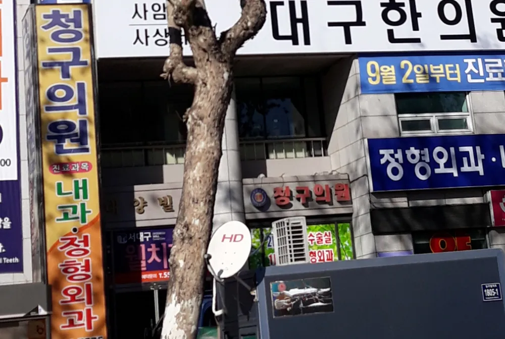 청구의원 대표 이미지