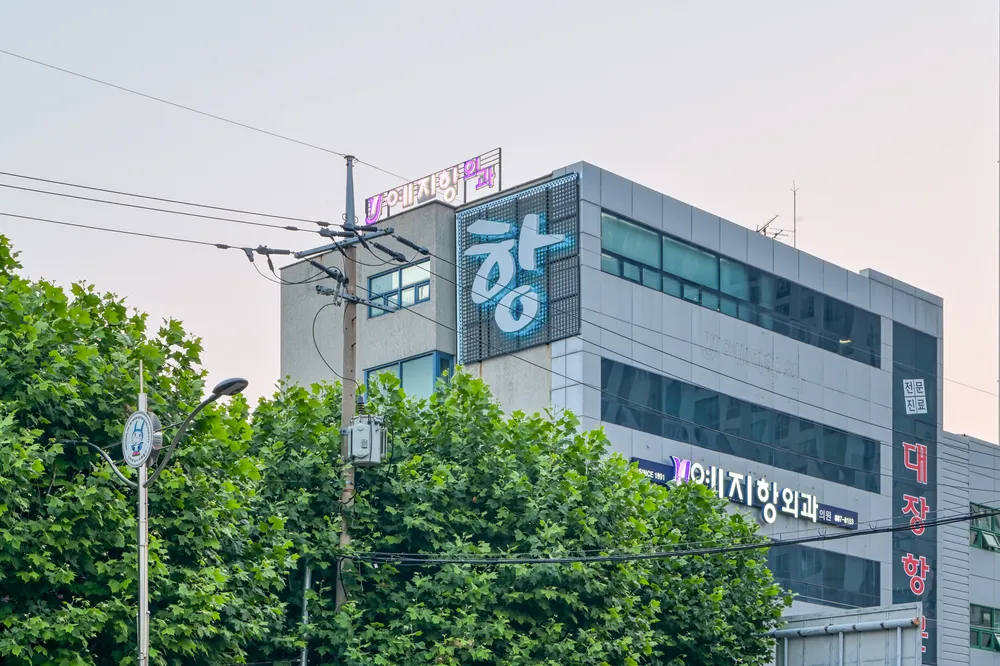 예지항외과의원 대표 이미지