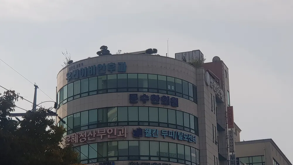 우리이비인후과의원 대표 이미지