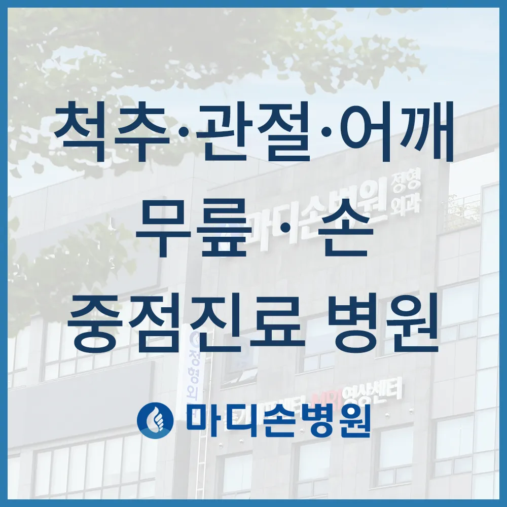마디손병원 대표 이미지