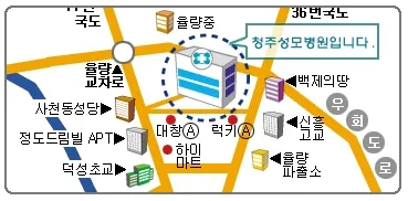 청주성모병원 대표 이미지