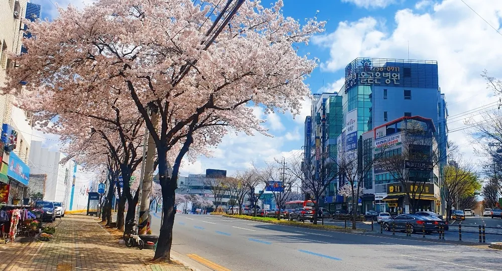 올곧은병원 대표 이미지