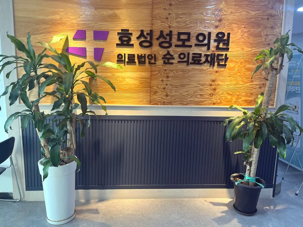 효성성모의원 대표 이미지