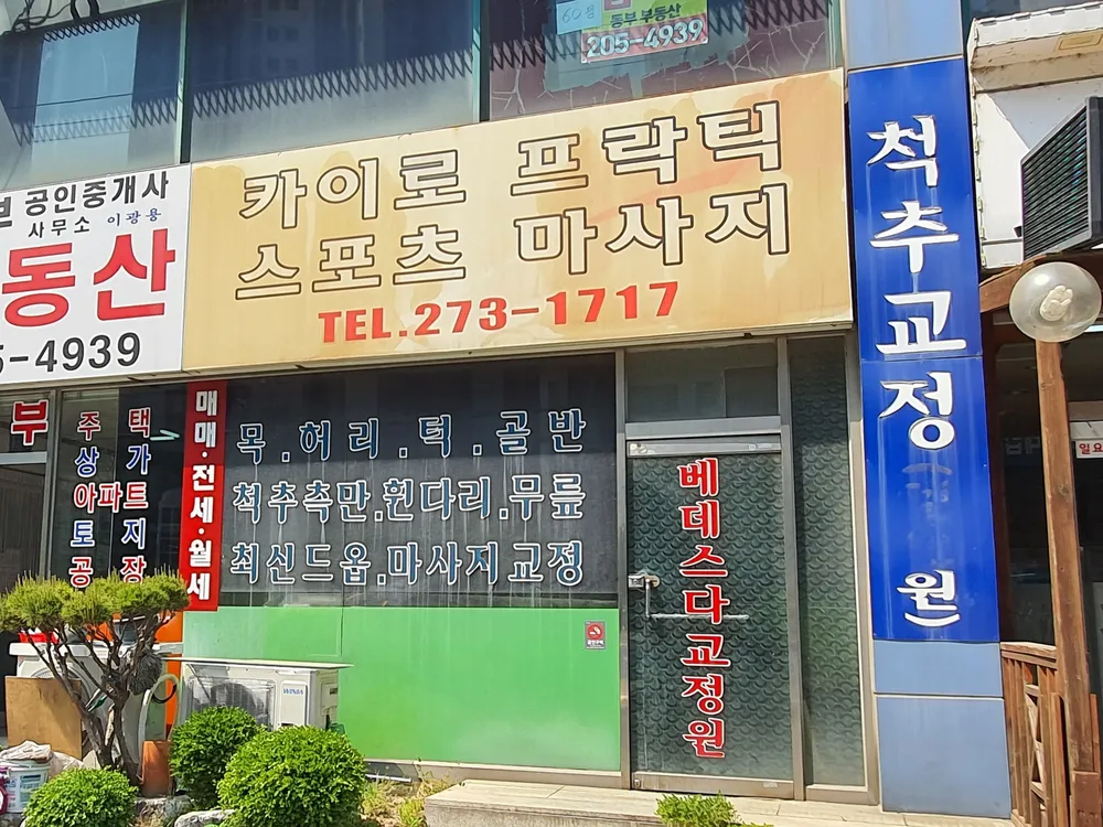 카이로프렉틱 대표 이미지