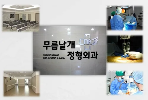 무릅날개정형외과의원 대표 이미지
