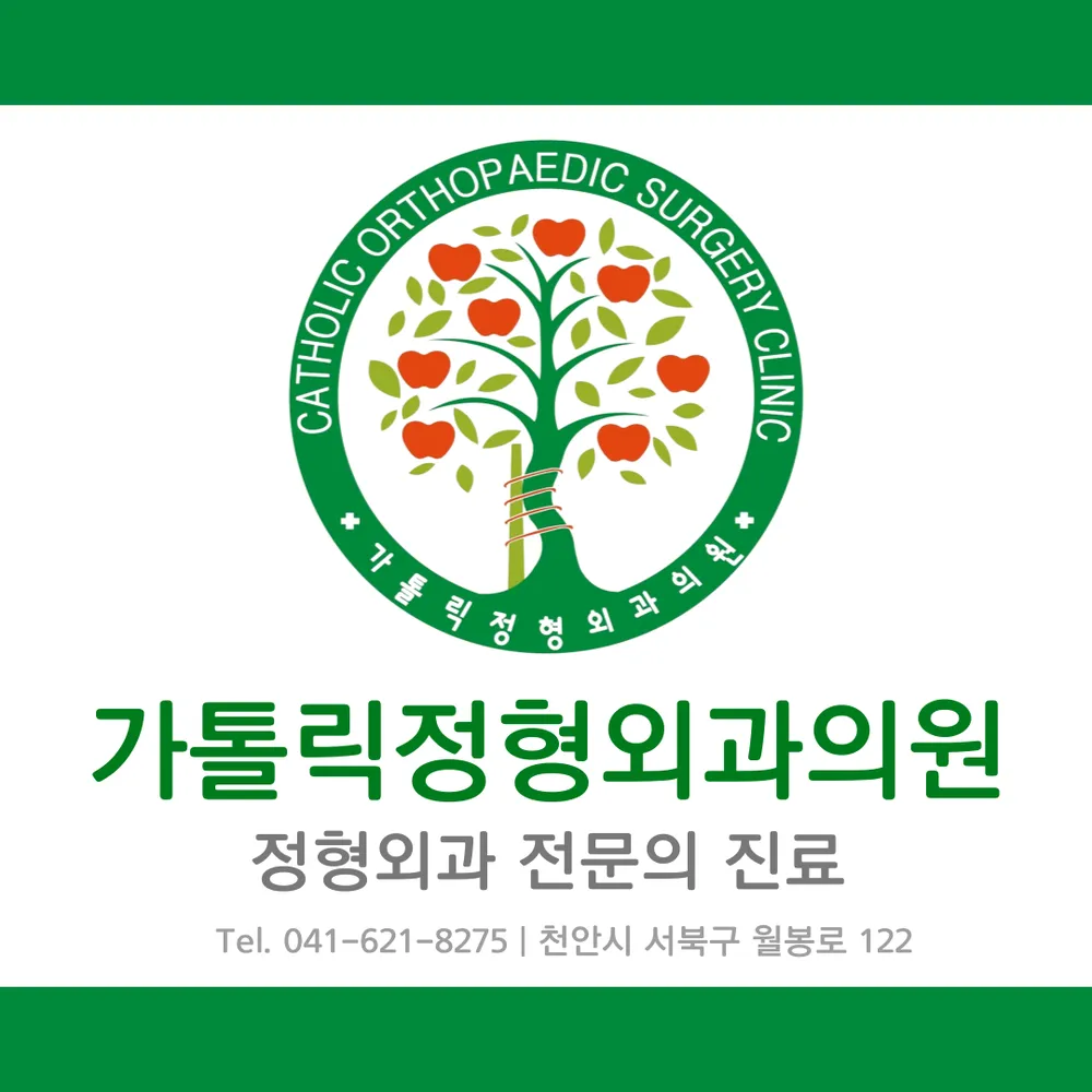 가톨릭정형외과의원 대표 이미지