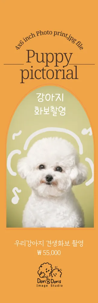 도리앤도리스 대표 이미지