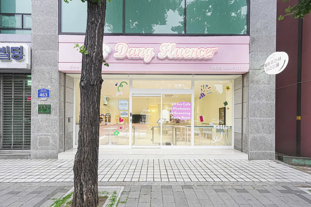 댕플루언서 대표 이미지
