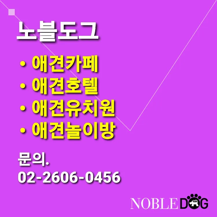 노블도그 애견카페 대표 이미지