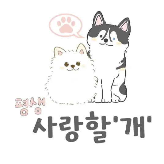 평생 사랑할 개 대표 이미지