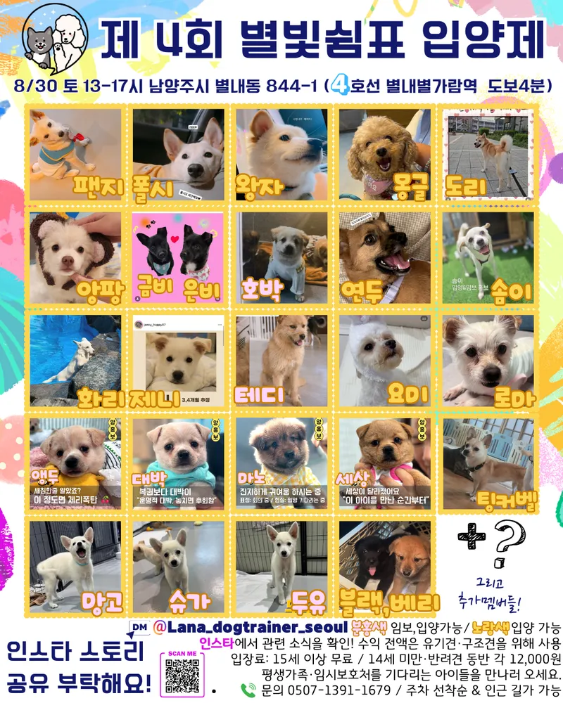 별빛쉼표 애견카페 & 애견유치원 & 애견호텔 대표 이미지