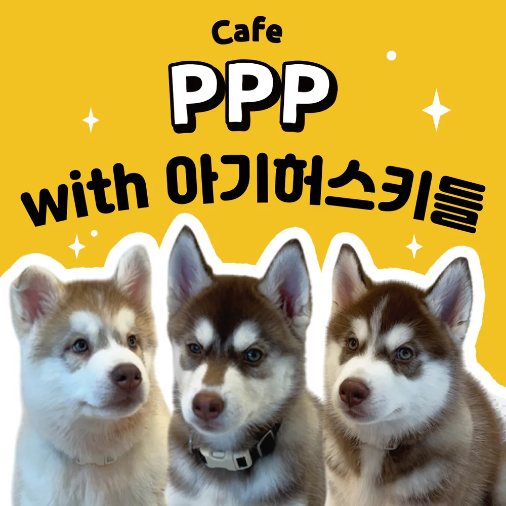 애견카페 피피피 펫스테이션점 대표 이미지