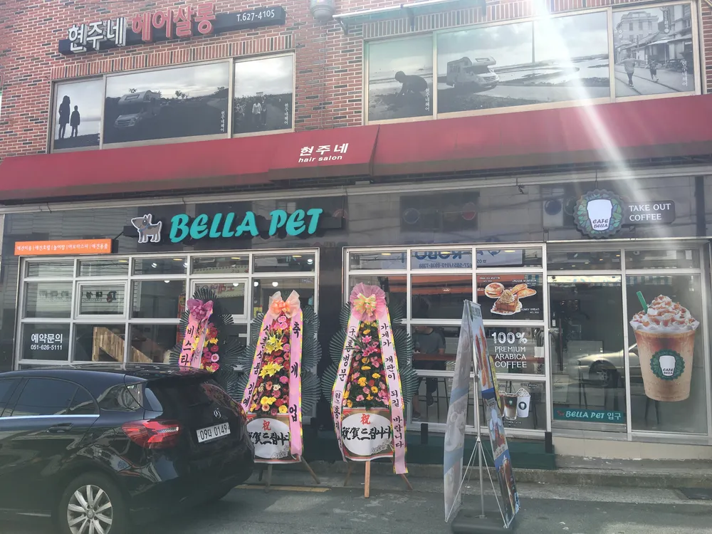 벨라펫 대표 이미지
