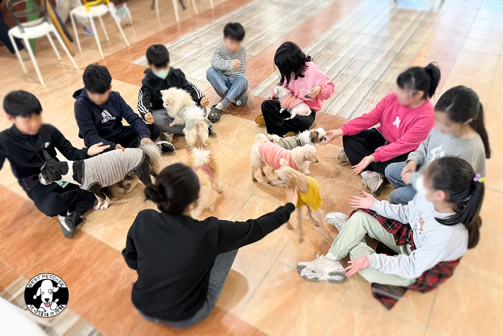 덕수네애견카페 광복로점 대표 이미지