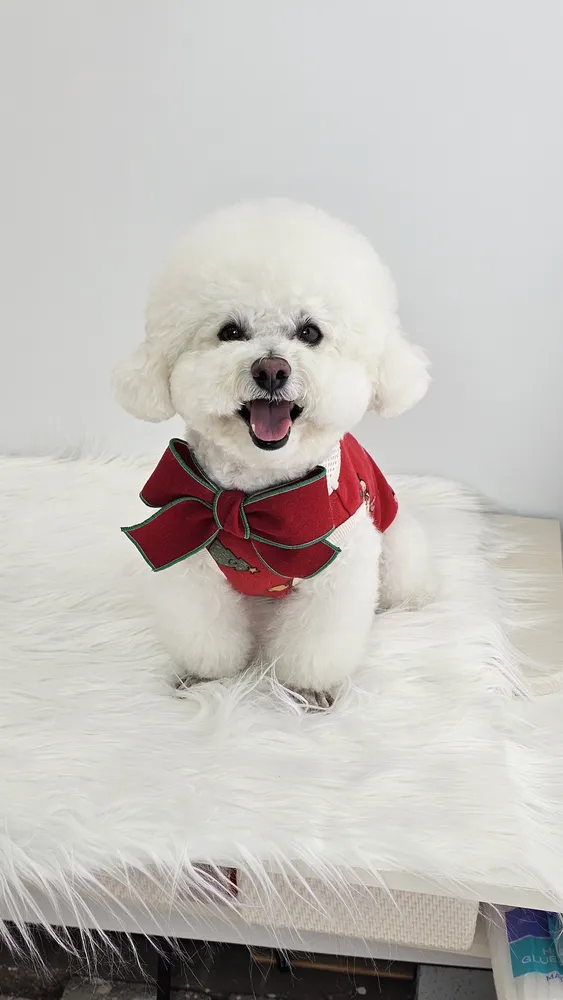 희동이네 대표 이미지