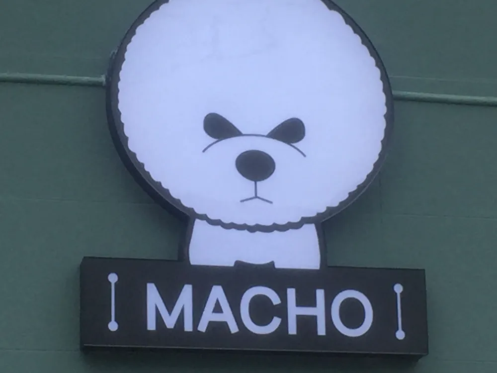 마쵸애견카페펍 대표 이미지
