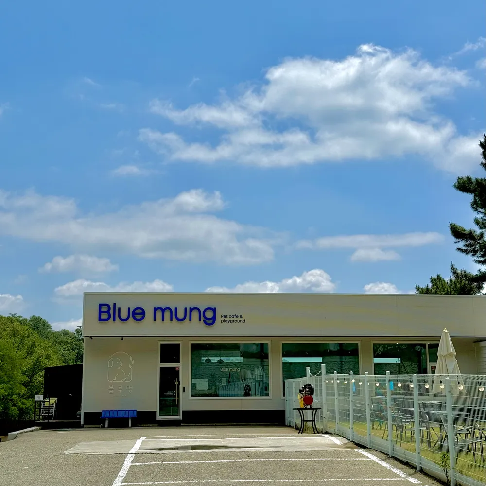 블루멍[애견카페&운동장대관] 대표 이미지